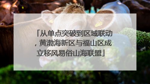 从单点突破到区域联动，黄渤海新区与福山区成立移风易俗山海联盟